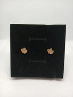 Aretes Mariposa Brillantes Acero Dorado