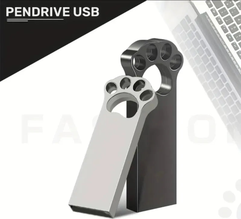Pendrive USB 256MB Patita Metálico